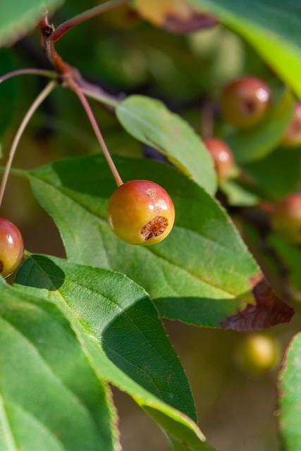 这场比赛再 这场比赛再
