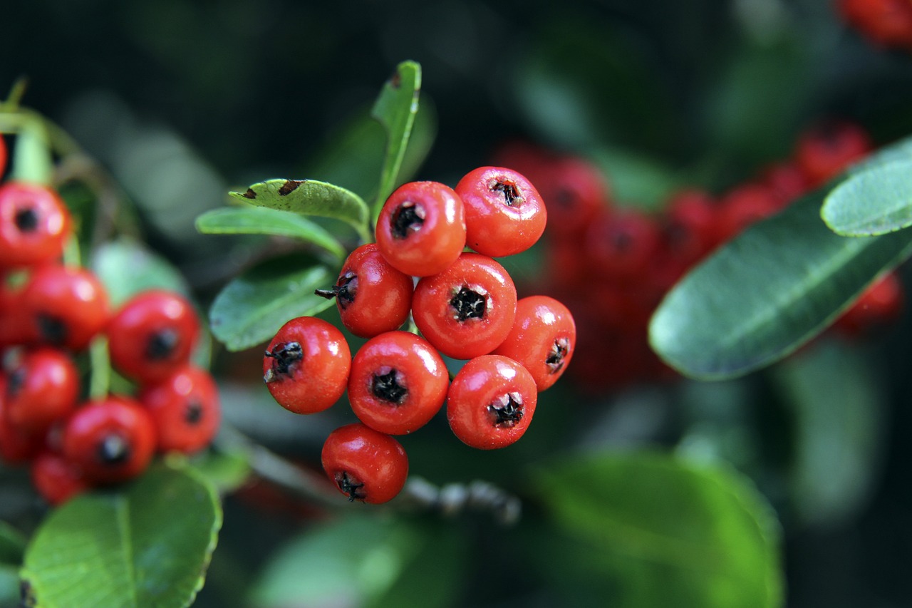 巴塞罗那 巴塞罗那