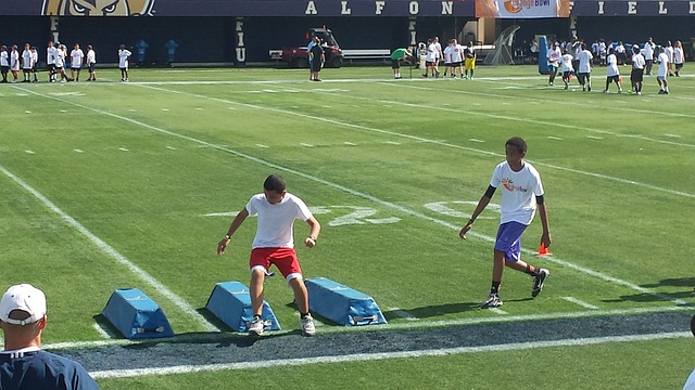 有了质的飞 有了质的飞