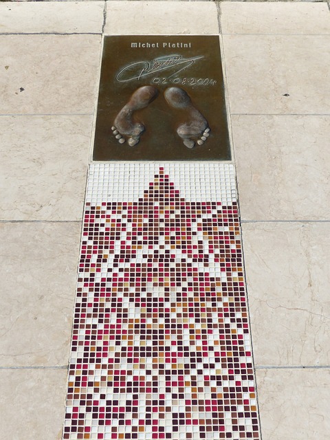 她不仅是一 她不仅是一