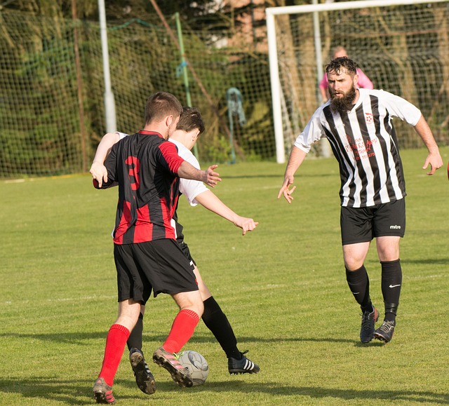 在上周的比 在上周的比