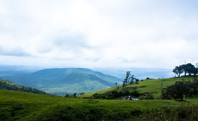 家球星在比 家球星在比